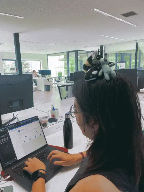 Work experience image